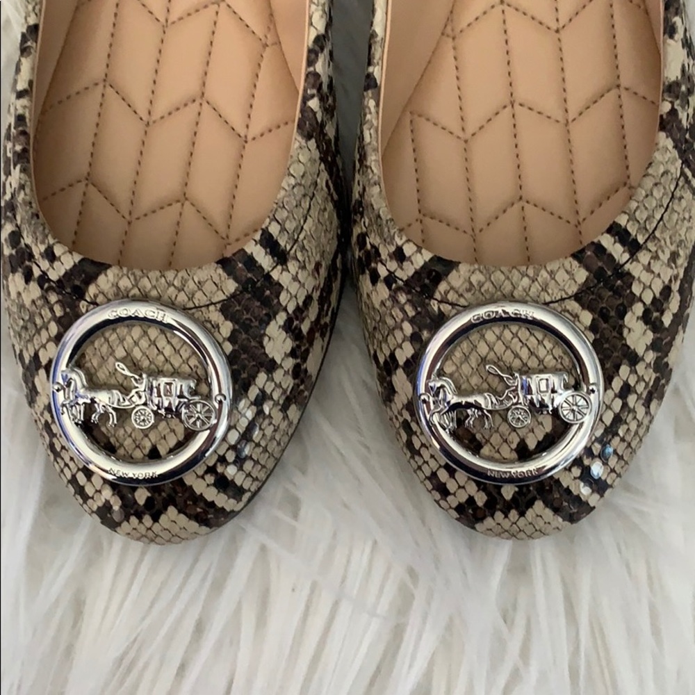 Coach Shoes - Picture 3 of 5
